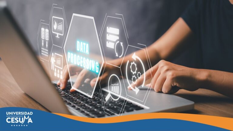 ¿Qué debe incluir tu política de protección de datos personales?