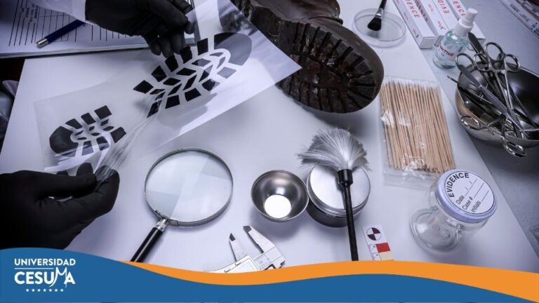 ¿Qué elementos forenses no deben faltar en una investigación criminal?