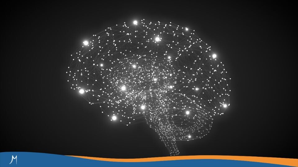 Maestrías y MBA 459 ¿Qué tema neuroeducativo vale la pena investigar?