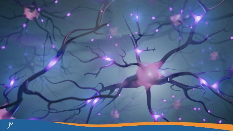 Maestrías y MBA 461 ¿Qué tema neuroeducativo vale la pena investigar?