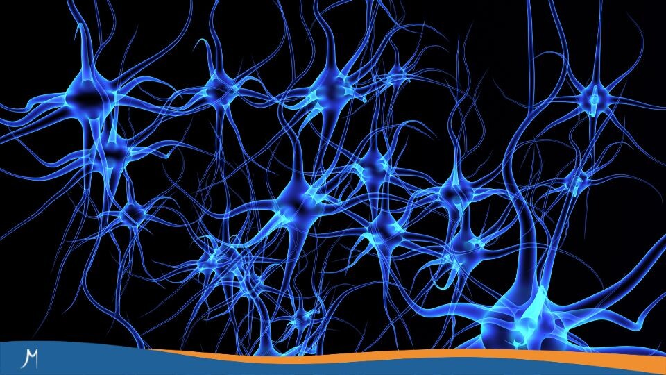 Maestrías y MBA 463 ¿Qué tema neuroeducativo vale la pena investigar?
