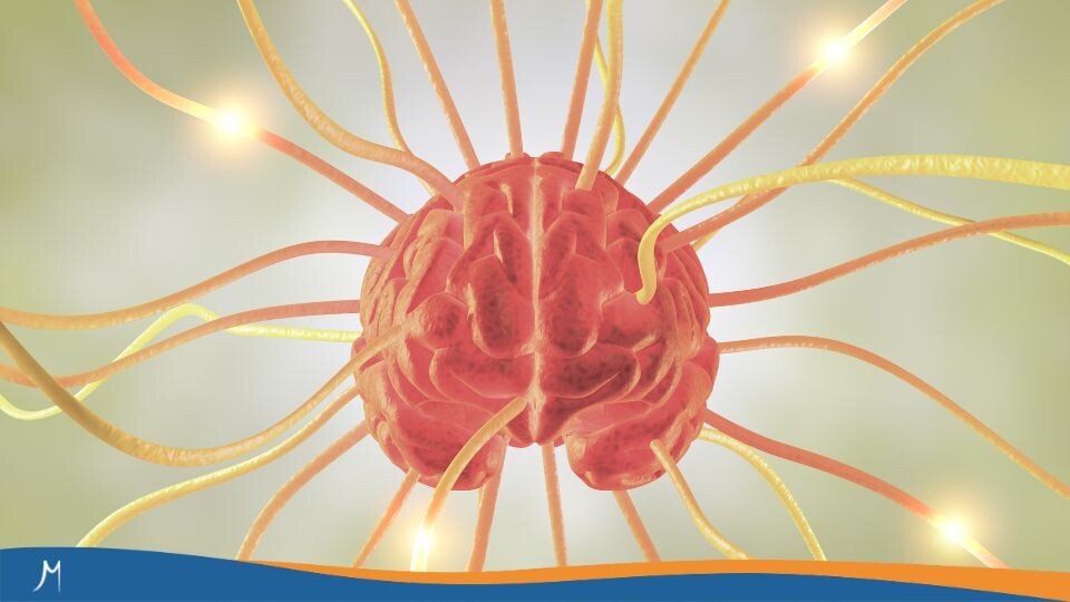 Maestrías y MBA 464 ¿Qué tema neuroeducativo vale la pena investigar?