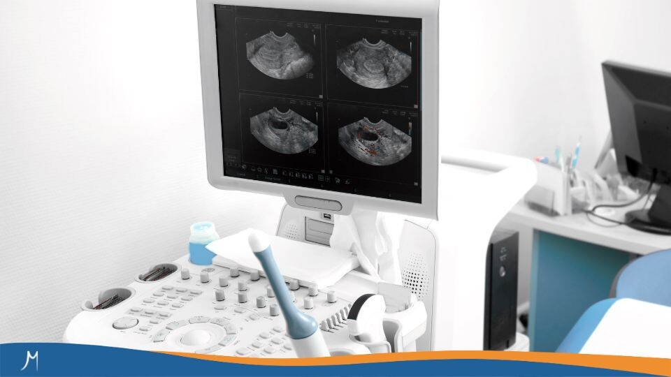 Maestrías y MBA 253 Innovación y eficiencia en la gestión hospitalaria moderna