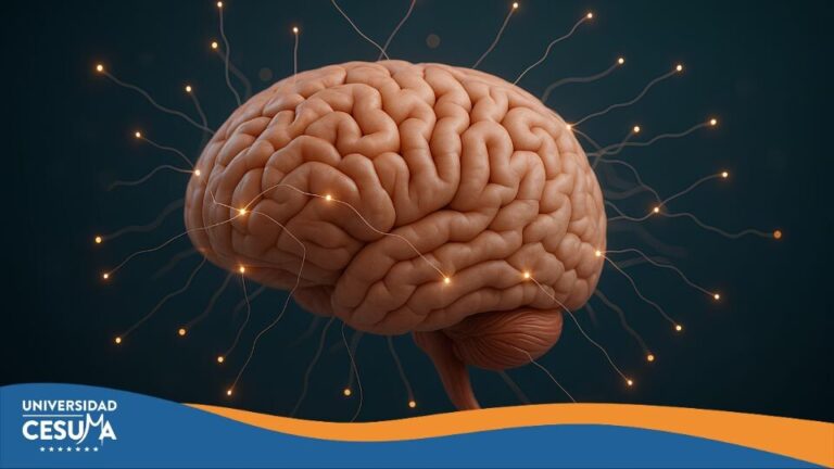 Cerebro y aula: el nuevo vínculo educativo