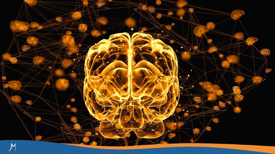 Maestrías y MBA 387 Educar con ciencia: la revolución neuroeducativa