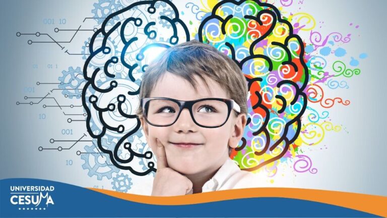 ¿Cómo aprende el cerebro? Lo que todo docente debería saber