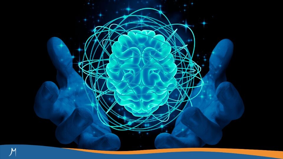 Maestrías y MBA 396 ¿Cómo aprende el cerebro? Lo que todo docente debería saber
