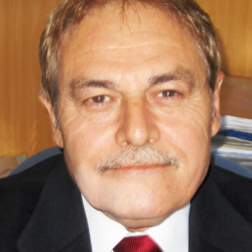 Dr. D. Fernando  Giner de la Fuente - DIRECTOR