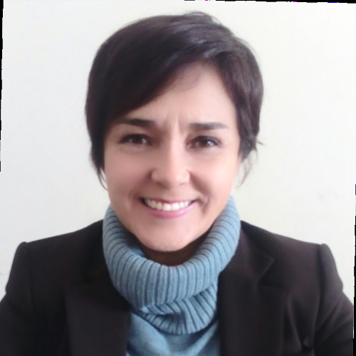 Aideé  Espindola Betancourt - TUTORA DIRECTORA DE ÁREA